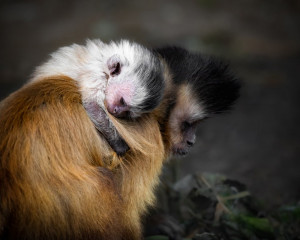 Platz-009-Roland-Hank