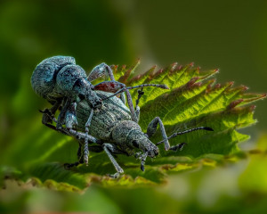 Platz-001-Michael-Konrad