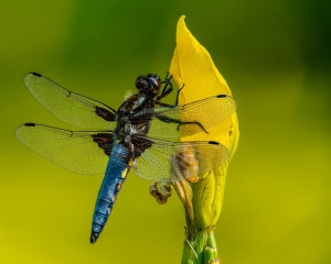 Platz-002-Michael-Konrad