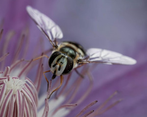 Platz-002-Ruth-Sommer