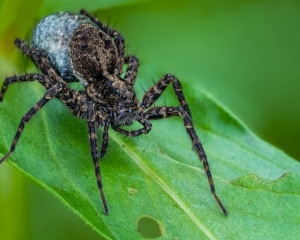 Platz-006-Michael-Konrad