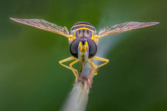 2025-08 - Festplattenschätze