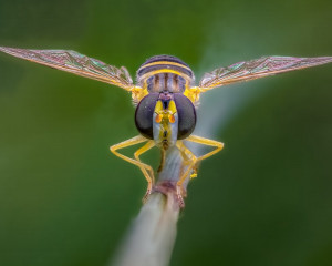 Platz-001-Michael-Konrad