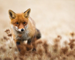 Platz-002-Roland-Hank