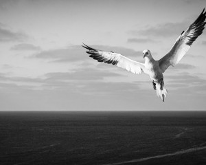 Platz-009-Peter-Ernszt