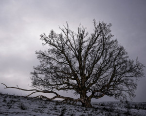 Platz-001-Ruth-Sommer