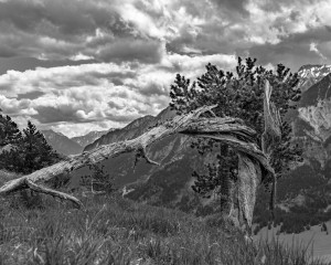 Platz-002-Michael-Konrad