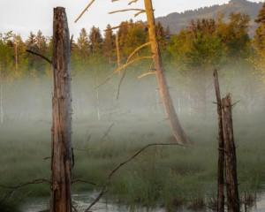 Platz-002-Peter-Ernszt