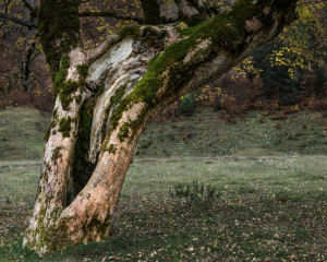 Platz-004-Peter-Ernszt