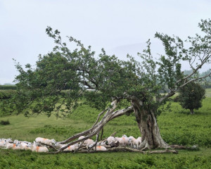 Platz-005-Gerhard-Mueller