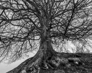 Platz-005-Ruth-Sommer