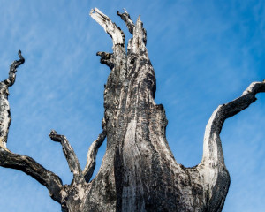 Platz-007-Peter-Ernszt