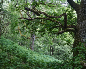 Platz-008-Gerhard-Mueller