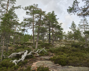 Platz-009-Gerhard-Mueller