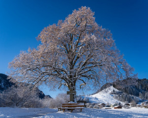 Platz-009-Michael-Konrad