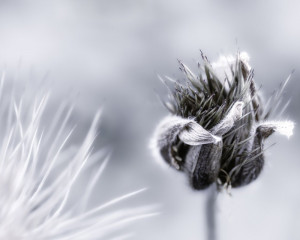 Platz-001-Ruth-Sommer