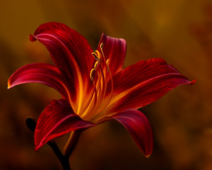 Platz-002-Ruth-Sommer