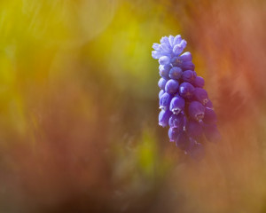 Platz-003-Peter-Ernszt