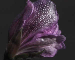 Platz-005-Ruth-Sommer