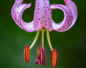 Platz-007-Michael-Konrad