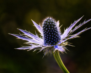 Platz-009-Roland-Hank