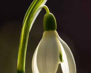 Platz-010-Michael-Konrad