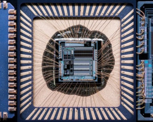 Platz 03 - Michael Konrad