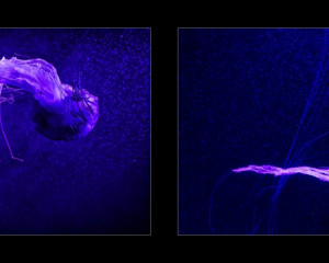 Platz 03 - Roland Hank