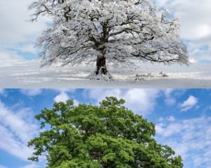 Platz 03 - Ruth Sommer