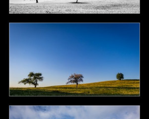 Platz 07 - Sebastian Schumann