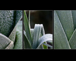 Platz 10 - Monika Boegle