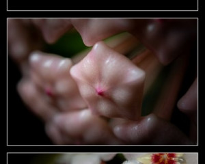 Platz 10 - Sebastian Schumann