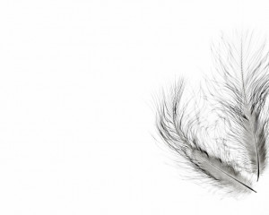 Platz-002-Ruth-Sommer