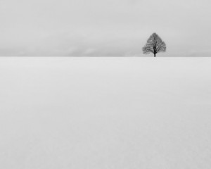 Platz-003-Michael-Konrad