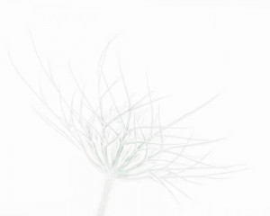 Platz-002-Ruth-Sommer