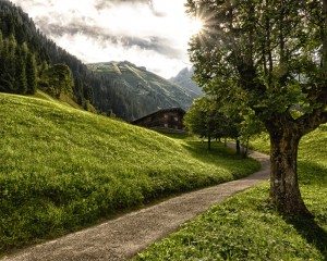 platz-010-gerhard-wolf-2