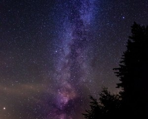 platz-007-ricarda-kiehstaller