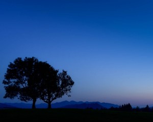 platz-007-ruth-sommer