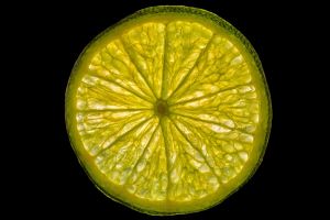 06-food_005