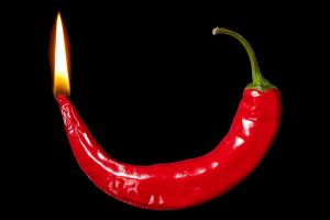 04-food_008