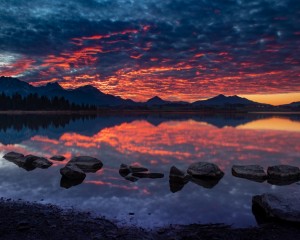 platz-006-ricarda-kiehstaller