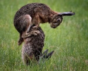 platz-007-elmar-jonietz