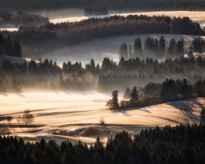 platz-007-roland-hank