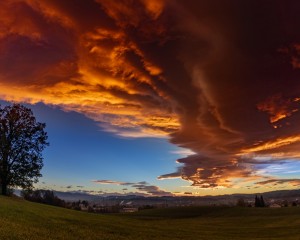 platz-010-ricarda-kiehstaller