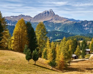 platz-002-gerd-mueller