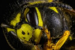 2019-03 - Contest Kleine Dinge
