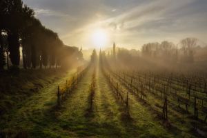 platz-004-bild-landschaft_017