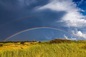 platz-004-bild-landschaft_042