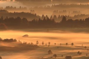 platz-006-bild-landschaft_031