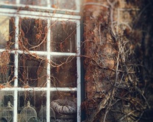 Platz-004-Ruth-Sommer